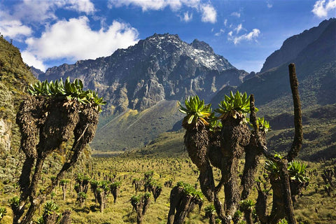 Montañas de Rwenzori